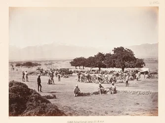 Safed Sang läger