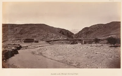 Bron vid ögonbryn, 1879