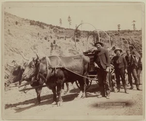 1889 - Prospekterare på väg till guldfälten (svartvitt foto)