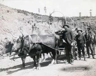 Guldfeber i South Dakota
