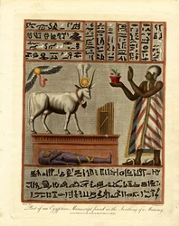 Del av ett egyptiskt manuskript som hittades när en mumie sveptes