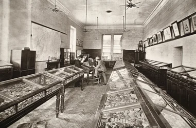 Museum, Camborne Mining school, illustration från 