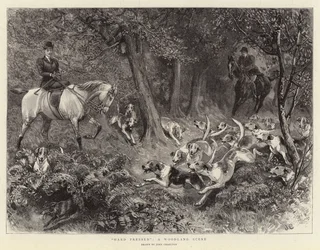 Hårt pressad, en skogsscen