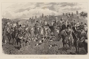 Mötet mellan Devon och Somerset Staghounds på Hawkcombe Head