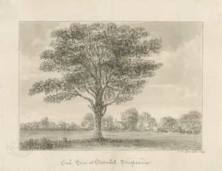 Boscobel - The Royal Oak: sepiateckning, 1820