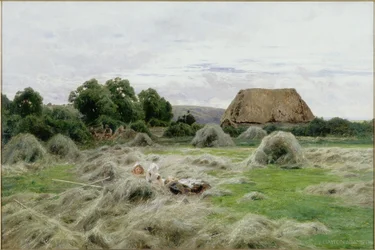 Hayfield