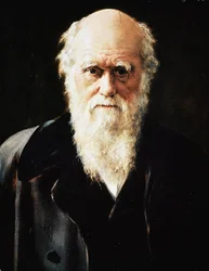 Porträtt av den engelske naturforskaren Charles Darwin, detalj