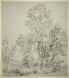 Ett bestånd av almträd (recto); En studie av östra Bergholt med kyrkan (verso)