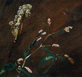 Blomsterstudier: Persicaria och Meadowsweet (olja på duk på panel)