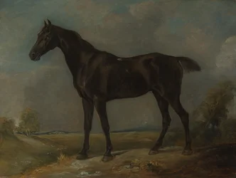 Golding Constables svarta ridhäst