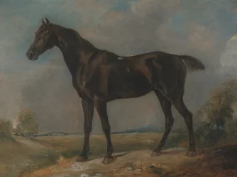 Golding Constables svarta ridhäst, mellan 1805 och 1810