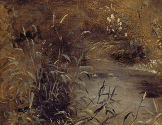 Rushes by a Pool, ca 1821 (olja på papper ombord)