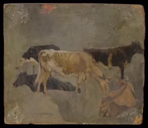 Studie av femhornade nötkreatur (verso) (olja på kvarnbräda)