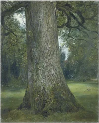 Studie av stammen på ett almträd, ca. 1824