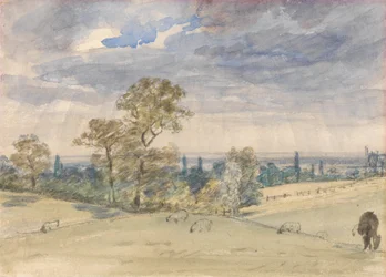 Suffolk Landskap