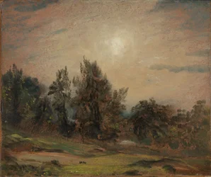 Träd på Hampstead Heath