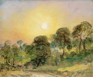 Träd på Hampstead Heath vid solnedgången