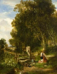 En skogsbrunn