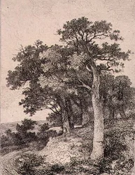 På Colney, pub. av J. & W. Freeman