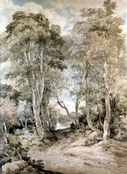 Träscen