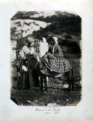 Eleanor och hennes åsna