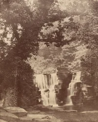 De övre fallen, Penllergare Valley Woods,ca. 1852 (foto)