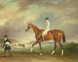 Cur chestnut tävlingshästen med jockey uppe på Newmarket Heath