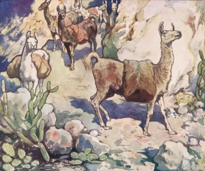 Alpackor på en bergsstig, illustration från "Hjälparna utan händer" av Gladys Davidson, publicerad 1919 (litho i färg)
