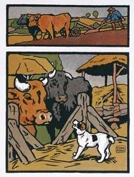 Illustration till The Dog and the Cow, från 