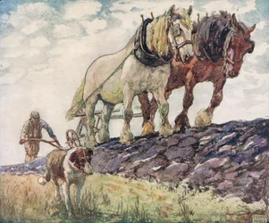 Plöjer fältet, illustration från 