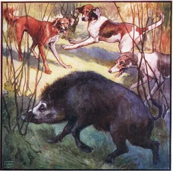 Han lade ner huvudet lite och kom rakt mot mig (färg litho)