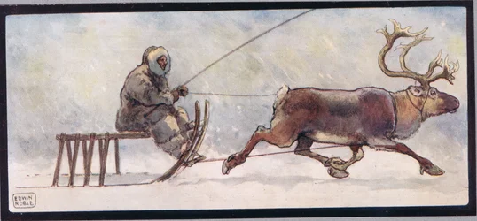 Renar och släde, illustration från "Hjälparna utan händer" av Gladys Davidson, publicerad 1919 (lito i färg)