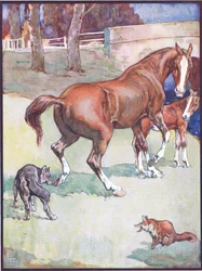 The Mare Lifted Her Hoof, illustration till Reynard the Fox, från Animal Legends from Many Lands, utgiven av Raphael Tuck & Sons Ltd.