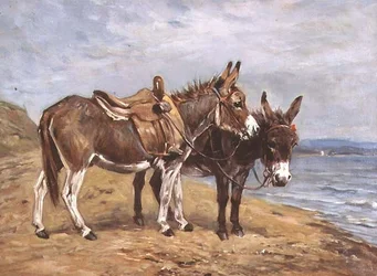Seaside Donkeys (olja på duk)