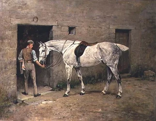 The Dapple Grey och stabil pojke