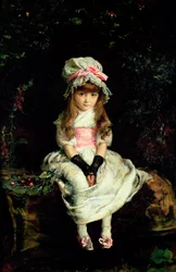 Mogna körsbär, 1879