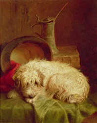En terrier