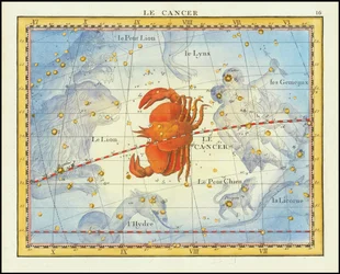 1776 års diagram över stjärnbilden Cancer och närliggande stjärnbilder, från Fortin