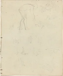 Studieblad [recto and verso]