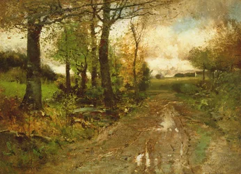 Vägen genom skogen