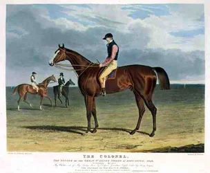 "Översten", vinnaren av Great St. Leger Stakes på Doncaster
