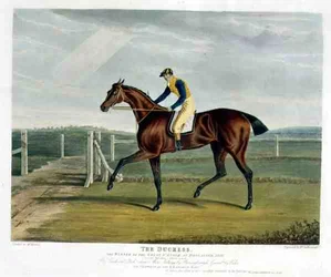 "The Duchess", vinnare av Great St. Leger i Doncaster