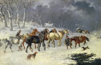 Hästar i snön