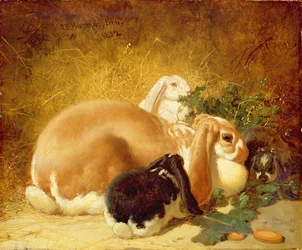 Kaniner, 1852