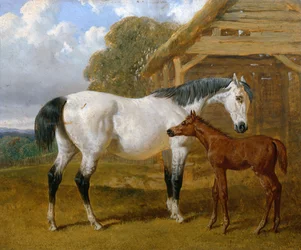 Ett sto och föl före en lada, 1854
