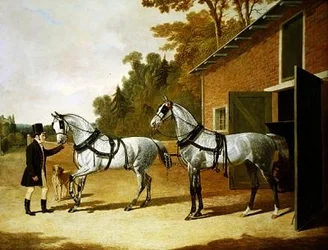 Vagnhästar
