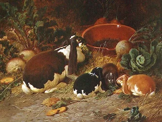 Fancy Rabbits, en Doe med sina ungar