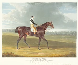 "Filho da Puta", vinnaren av St Leger i Doncaster, 1815, graverad av Thomas Sutherland (f.c.1785), utgiven av W. Sheardown und Son (akvatint).