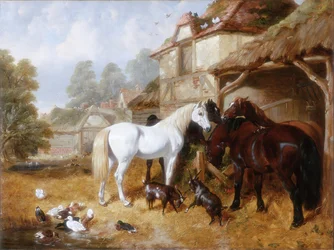 Hästar på en gård