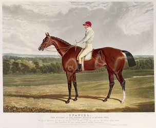 "Spaniel", vinnaren av Derby Stakes i Epsom, 1831, graverad av Charles Hunt (1803-77), utgiven av S. und J. Fuller, 1831 (akvatint).